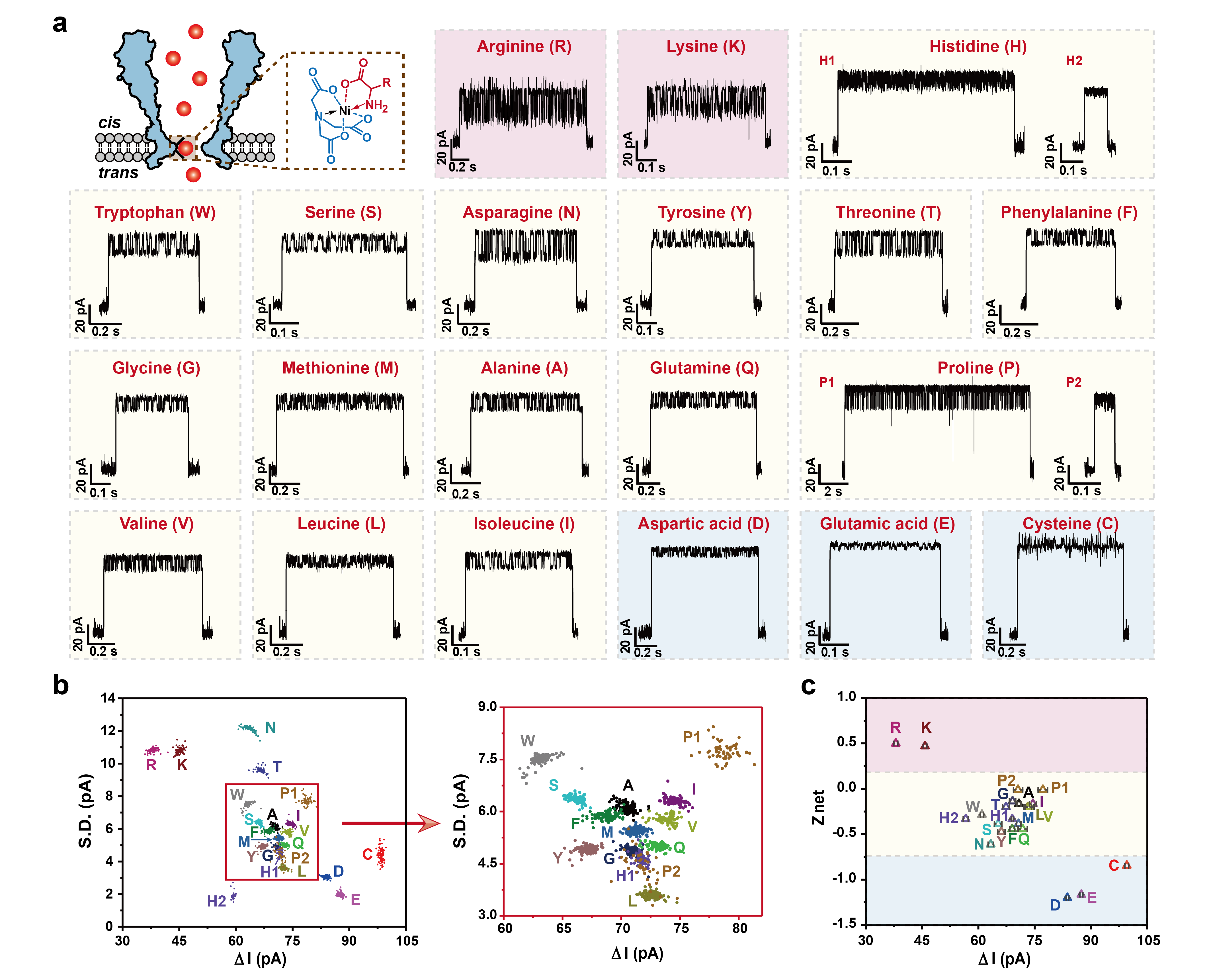 Nature Methods reports a significant breakthrough in nanopore ...